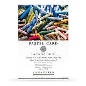 Blocco 12 fogli per pastello Pastel Card – Sennelier - 5