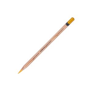 Matite colorate sfuse Derwent Lightfast – Qualità e Resistenza per Artisti – Amber Gold 2305698