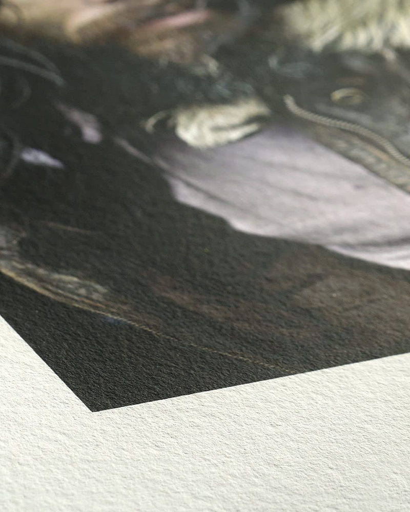 Blocco per Acquerello “Agave Watercolour” 290g/m²- HAHNEMÜHLE - 4