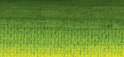 Variante colore 819 Verde vescica