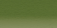 Variante colore Light Olive 1540