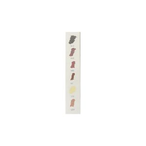 Set da 6 mezzi Pastelli morbidi “à l’écu” – Ritratto tonalità scure – SENNELIER - 2