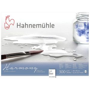 Album Harmony Acquerello – Grana Grossa 300 g/m²- Hahnemühle – 30 x 40 - 2