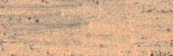 Variante colore 042 Incarnato