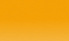 Variante colore Amber Gold 0200