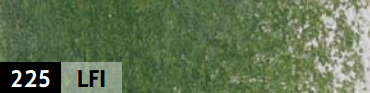 Variante colore 225 Verde muschio LFI