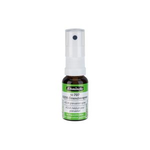 foto di Schmincke Aqua Granulation Spray 15 ml