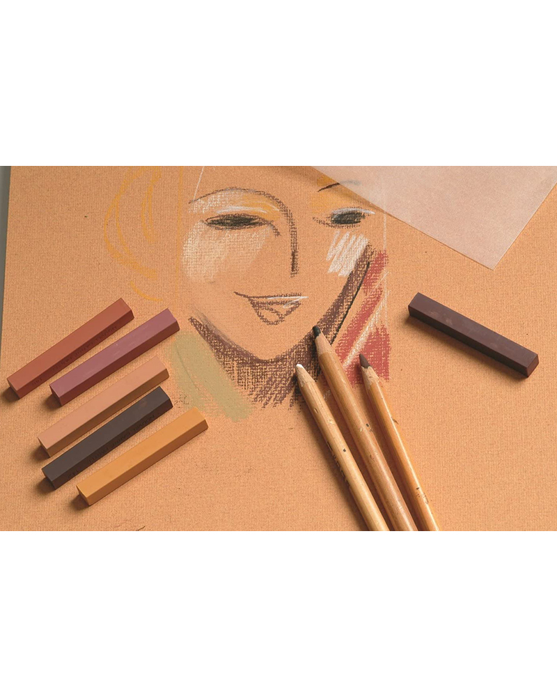 foto di ingres pastel fogli interni 3 ps