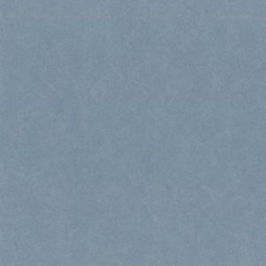 foto di painton blu denim interno ps 2