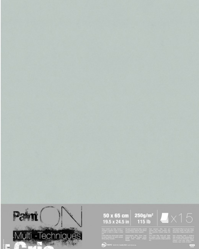 oto di painton grigio foglio interno ps 2