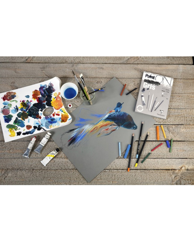 foto di painton grigio foglio interno ps
