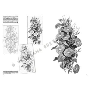 20 – Fiori – Collana Leonardo - 2