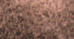 Variante colore Ombra naturale 049