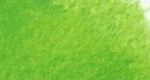 Variante colore Verde brillante 720