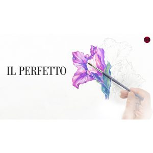 Pennello Tondo in Martora Kolinshy Sintetica – Serie 620 IL PERFETTO – BORCIANI e BONAZZI - 6