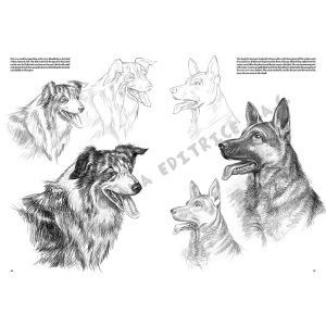 13 – Animali – Collana Leonardo - 4