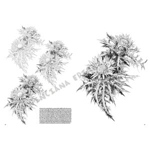 23 – Fiori – Collana Leonardo - 2