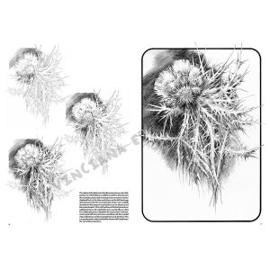 23 – Fiori – Collana Leonardo - 4