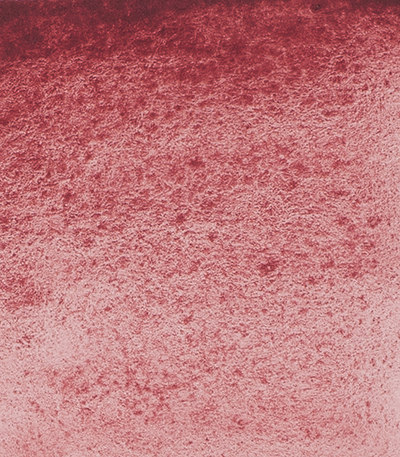 Variante colore Rosa di Potters 370 - G3