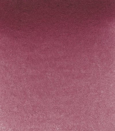 Variante colore Viola Perylene 371 - G2