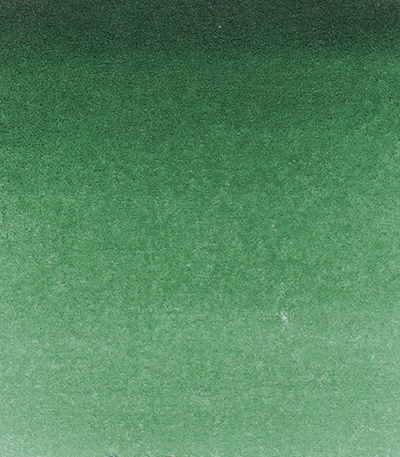 Variante colore Verde Oliva 515 - G1