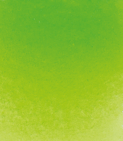 Variante colore Verde Maggio 524 - G2