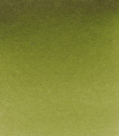 Variante colore Verde Oliva Giallastro 525 - G2
