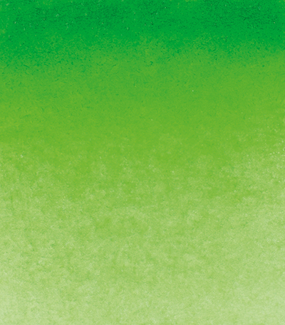 Variante colore Verde Permanente 526 - G2