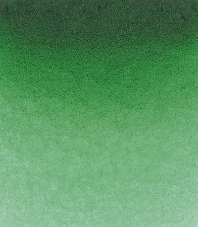 Variante colore Verde Oliva Permanente 534 - G2