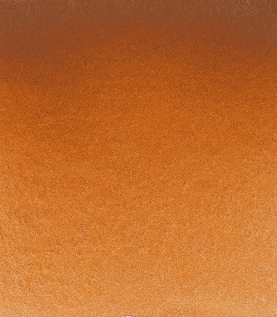 Variante colore Bruno di Spinell 650 - G2