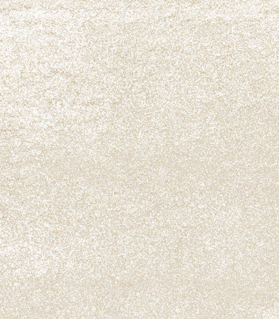 Variante colore Argento 894 - G2