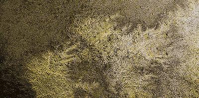 Variante colore Desert Grigio 925