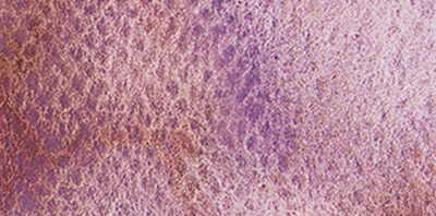Variante colore Galaxy Rosa 971