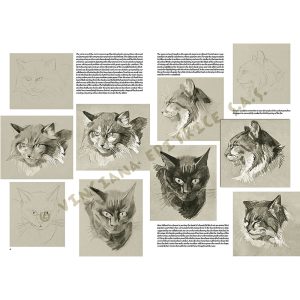 38 – Libro di Disegno – Gli Animali di Mathurin Méheut – Collana Leonardo