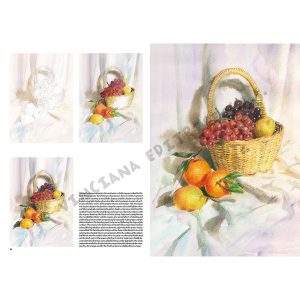 41 –  Collana Leonardo Libro di Disegno – Nature Morte