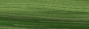 Variante colore Terra verde naturale 519 - G1