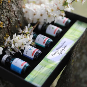 Confezione Inchiostri per stilografiche – 5 x 10 ml – “Set Primavera” HERBIN - 3