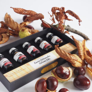 Confezione Inchiostri per stilografiche – 5 x 10 ml – “Set Autunno” HERBIN - 3