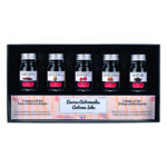 Herbin inchiostro per calligrafia – Set Autunno da 5 flaconi