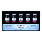 Herbin inchiostro calligrafico – Set Inverno da 5 flaconi