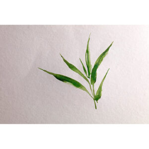 Blocco Bamboo per Acquerello 250 g/m² – con spirali – CLAIREFONTAINE