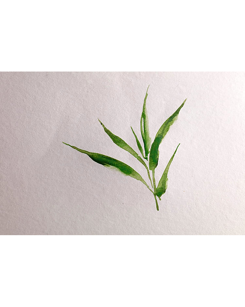 Blocco Bamboo per Acquerello 250 g/m² – con spirali – CLAIREFONTAINE