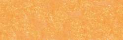 Variante colore Arancio piombo 039