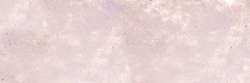 Variante colore Bruno van Dyck 440