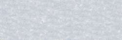 Variante colore Grigio 521