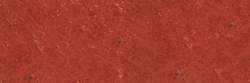 Variante colore Terra di Siena bruciata 462