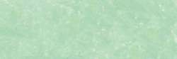 Variante colore Verde cenere 351