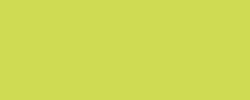 Variante colore Giallo verdastro 243