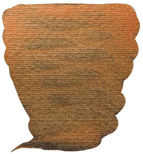 Variante colore Bronzo 811