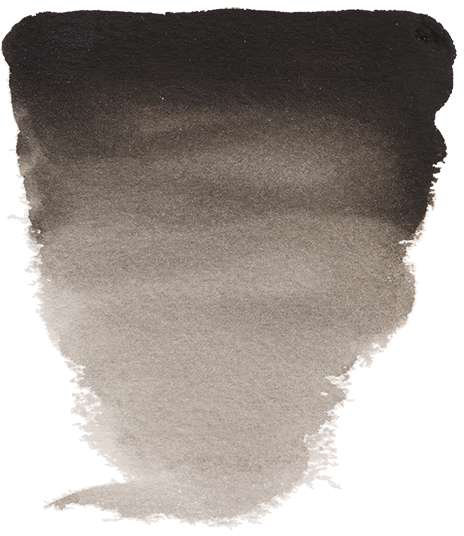 Variante colore Nero d'avorio 701